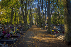 Cmentarz Oliwski